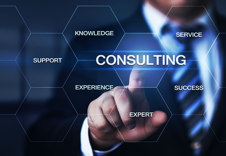 Insurance Consulting